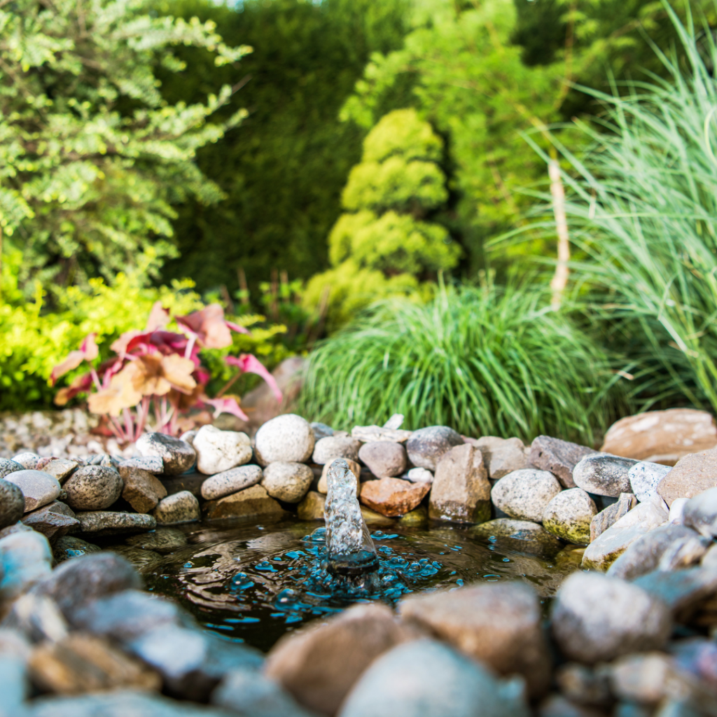 Advantages of Adding a Pond to Your Landscape Think NOO